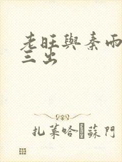 老旺与秦雨三进三出