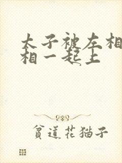 太子被左相和右相一起上