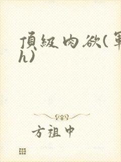 顶级肉欲(军高h)