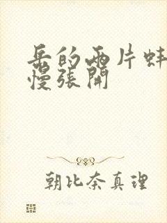 岳的两片蚌肉慢慢张开