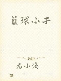 篮球小子