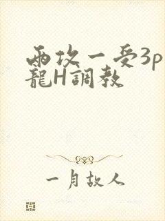 两攻一受3p双龙H调教