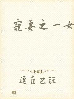 宠妻之一女二夫