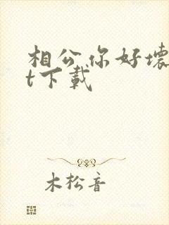 相公你好坏txt下载