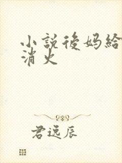 小说后妈给我消消火