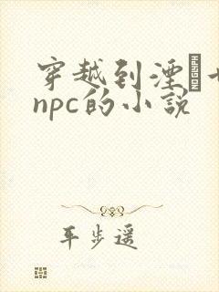 穿越到湮婸世界npc的小说