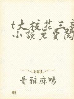 t大校花三部曲小说免费阅读全文