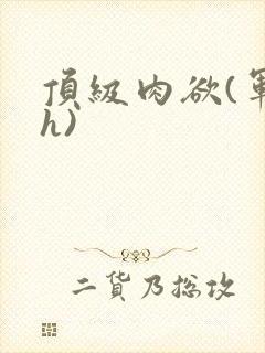 顶级肉欲(军高h)