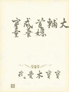 穿成首辅大人的童养媳