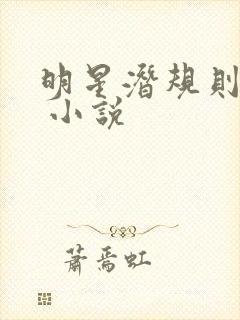 明星潜规则之皇 小说