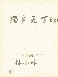 独步天下txt