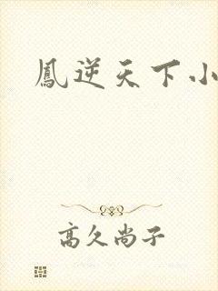 凤逆天下小说