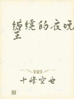 缠绕的夜晚双男主