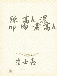 辣 高h 浓 np 肉 黄高h