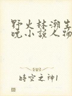 野火林潮生林晚晚小说人物野火