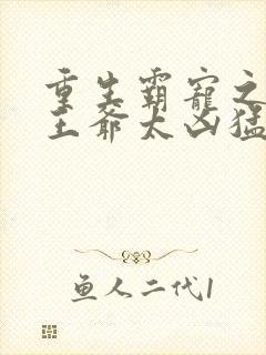 重生霸宠之摄政王爷太凶猛