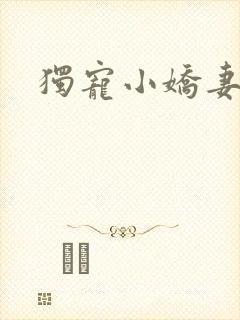 独宠小娇妻