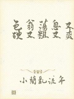 色翁荡息又大又硬又粗又爽