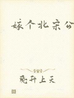 嫁个北宋公务员