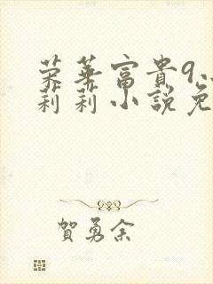 荣华富贵9小王莉莉小说免费阅读