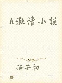 h激情小说