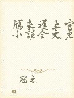 雁未迟上官穿越小说全文免费阅读