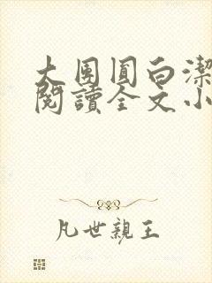 大团圆白洁免费阅读全文小说