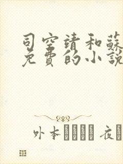 司空靖和苏月汐免费的小说笔趣阁