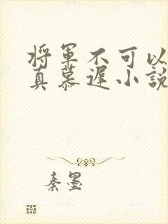 将军不可以魏云真慕迟小说笔趣阁