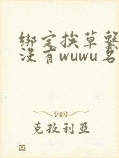 绑定挨草系统后没有wuwu名字