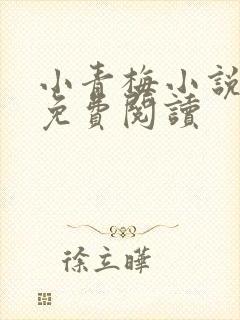 小青梅小说全文免费阅读