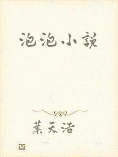 泡泡小说