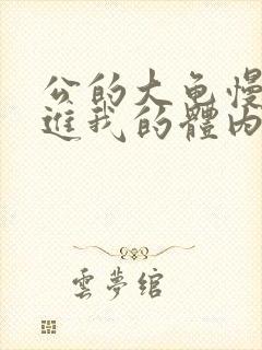 公的大龟慢慢挺进我的体内