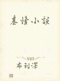 基情小说
