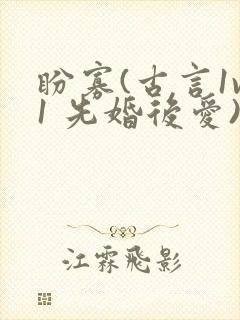 盼寡(古言1v1 先婚后爱)