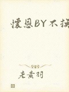 怀恩BY不换