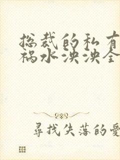 总裁的私有宝贝祸水泱泱全文阅读