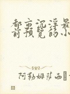 都市沉浮最快超前预览的小说3030