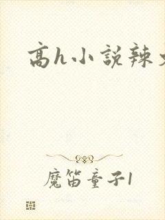 高h小说辣文