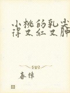 小桃的乳尖被吸得又红又肿