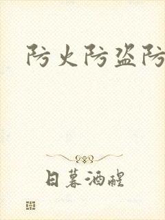 防火防盗防师兄