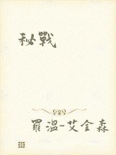 秘战