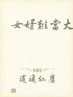 女婿难当大结局