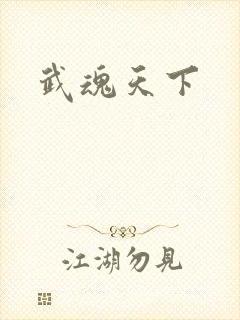 武魂天下
