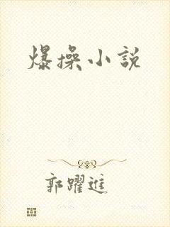 爆操小说