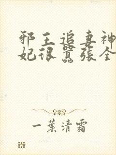 邪王追妻神医狂妃很嚣张全文免费