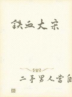 铁血大宋