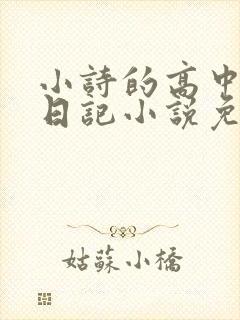 小诗的高中成长日记小说免费阅读
