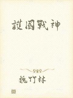 护国战神