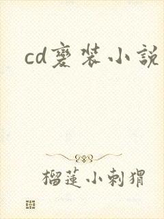 cd变装小说